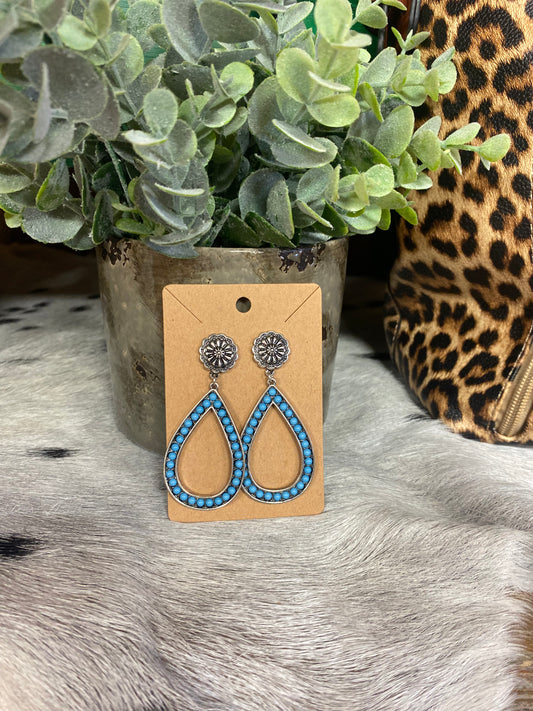 Turquoise Edgewood Earrings